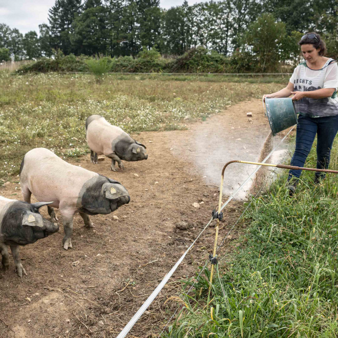 Protéi-NA, un plan pour développer l'autonomie protéique