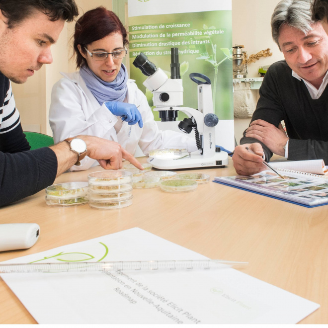 NACO : un fonds de co-investissement au service des PME