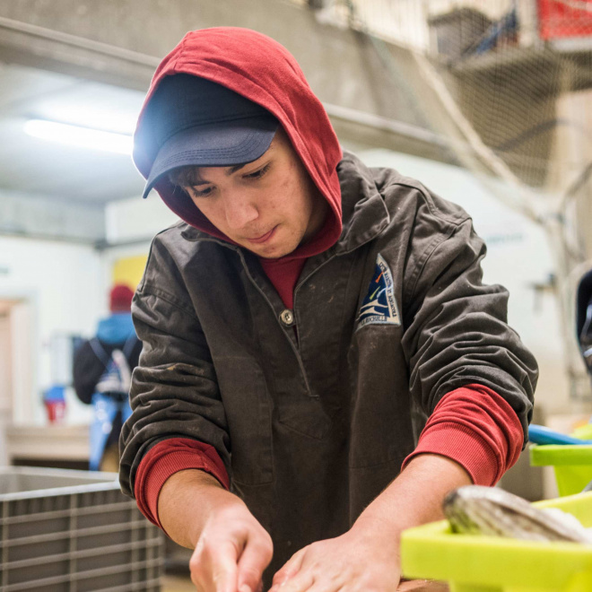 Entreprises du vivant, faites découvrir vos métiers à des stagiaires