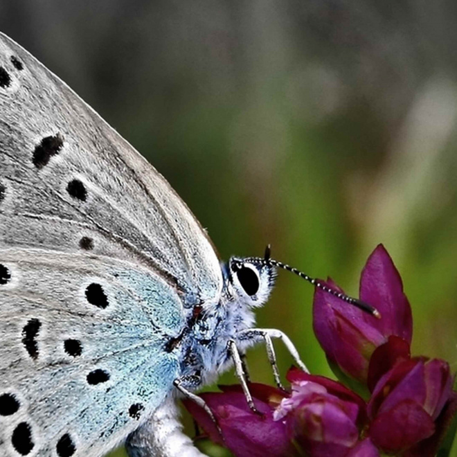 Présentation du Fonds NAture 
