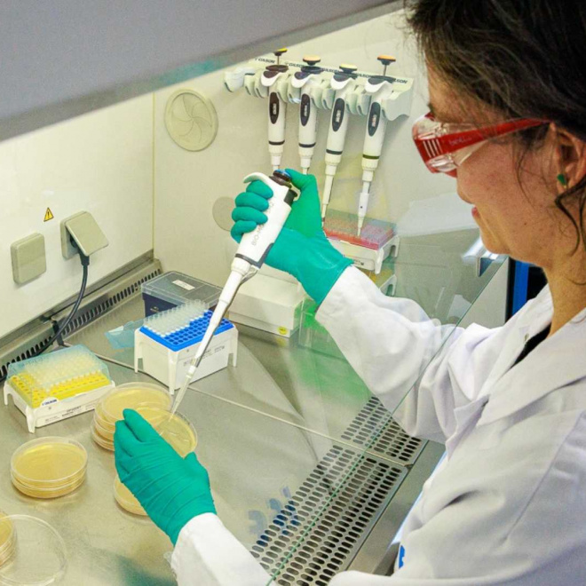 Danisco France, moteur de l’innovation en ferments lactiques